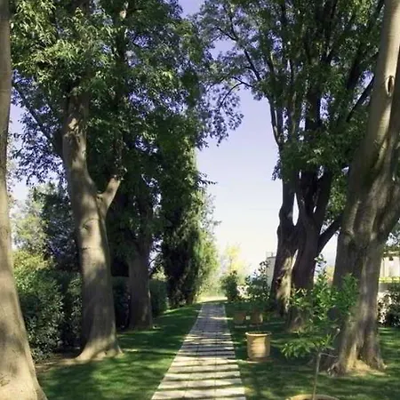 Готель Acquaviva Del Garda 4*